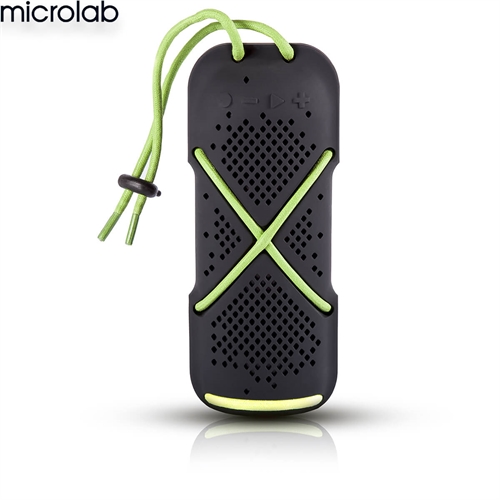 Loa Microlab D22 2